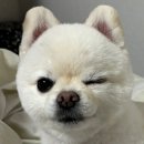 [공지] 과제 밟으실 수 있죠? 하하하 5月