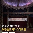 함께하는 월드 매직쇼 | 여수 아이랑 실내 가볼만한곳 놀거리 추천 월드서커스 아트홀