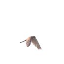 금호강4 이미지