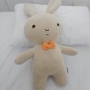 도로변(경인로 403)(1) | 천안 불당동 왁싱 토티왁싱 천안불당점｜남자 브라질리언왁싱 첫방문 후기