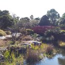 여미지식물원 이미지