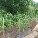 이계신농장 이미지