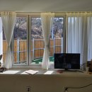 펫밀리즈 이미지