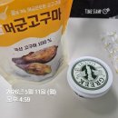 둔둔초등학교 | 꽃이 시들 때를 근심한다면, 이토록 철없이 만개할 수 있을까_5월의 스무 밤들