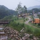 국토정중앙천문대야영장 이미지