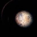 애경동물병원 이미지