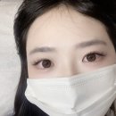 래쉬돌 네이버블로그