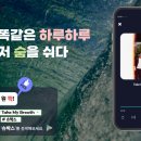 H-5 이미지
