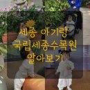 세종 아기랑랑 가볼만한곳 국립세종수목원 무료 할인 입장료 팁, 내돈내산 후기
