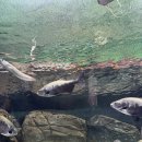 반디랜드 곤충박물관 전시실 이미지