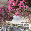 동백길커피 | 🌺여수여행 여수대형카페 '여수 프롬나드FROMENADE'［뷰가예쁜카페&해풍쑥라떼&딸기라떼&동백길&주차］