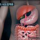 EBS교육방송(명의)정맥류 이미지