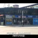 반도턱시 이미지