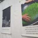 요산당 네이버블로그