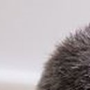 베데스다정형외과의원 이미지