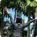 강서구-4 | 강서구 팔뚝 지방추출주사 추천 4주차 리얼후기 (7키로감량!,마운자로x,위고비x,다이어트팁!)