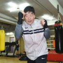 거북강남 복싱체육관 이미지