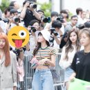 모모 이미지