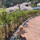 양지사거리체육공원 이미지