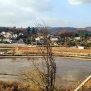 발트하우스 이미지