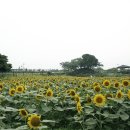 경숙농장 이미지