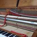 장유2차쌍용예가 이미지