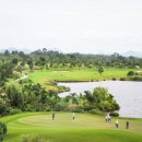 티엔지코리아 이미지