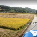 부용부동산공인중개사무소 이미지