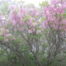 둘레목장 이미지