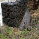 신풍농장 이미지