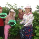 동서농장 이미지