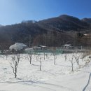 정골농장 이미지