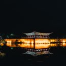 놋전국수