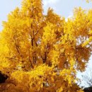 호원농장 이미지