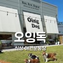 그늘막69 | 오잉독, 반려견과 프라이빗하게 즐기는 경기도 광주 애견 대관 운동장 방문 후기