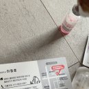 율하우리동물약국 이미지