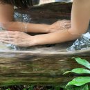 오고생이 이미지