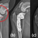 윤상준농장 이미지