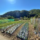 양평역114공인중개사사무소 이미지