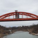 중간상사리 이미지