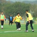 장성군체육회 이미지