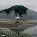 반월 이미지