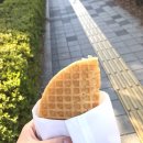 와플칸 이미지