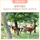 주한목장 | 아이와 여름방학 갈만한곳 알파카월드 서울근교 당일치기 홍천여행