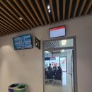 맑은시암풍경소리 | [공지] 몰디브 신혼여행 #9] 몰디브 시암월드 워터빌라 라군숙소에서 거북이와 상어를 보다!