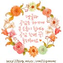 마드레펫 이미지