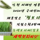 보리씨 이미지