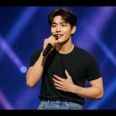 2026년 띠별 타로운세…2026, 띠별로 펼쳐진 타로의 흐름 이미지