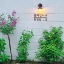 테이블라니 봄해언니네점 이미지