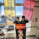 명성카센타 앞 횡단보도 | [일본100명성] 시바타성(新発田城) (16/100)